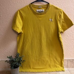 Abercrombie Tee Shirt Medium Muscle Cut